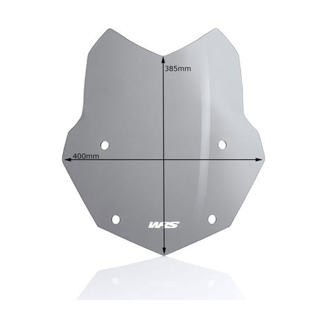 Parabrisa Wrs Wscrn Stndrd R1250Gs Smk