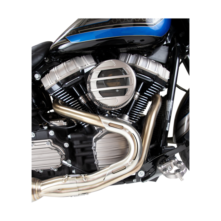 Tapa lateral Arlen Ness Cover Cam Titanium