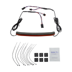 Custom Dynamics Bremshebel Tailight Led W/Tsignal Sm