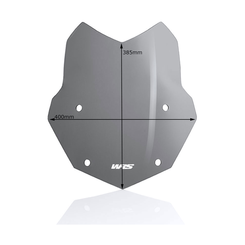 Parabrisa Wrs Wscrn Stndrd R1250Gs Dsmk