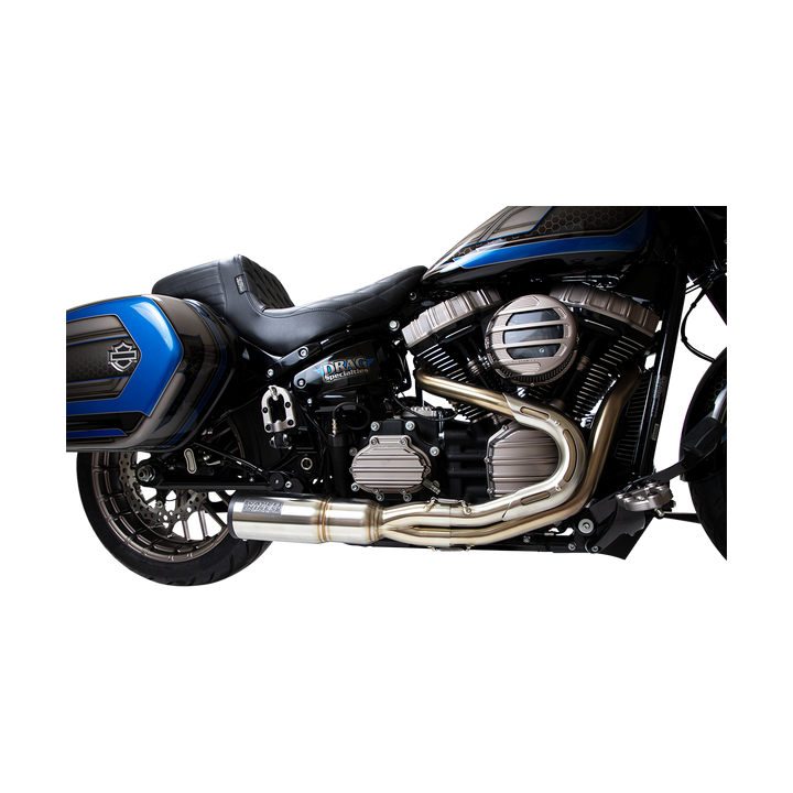 Tapa lateral Arlen Ness Cover Cam Titanium